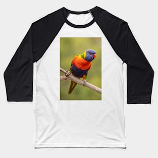 Rainbow Lorikeet Baseball T-Shirt